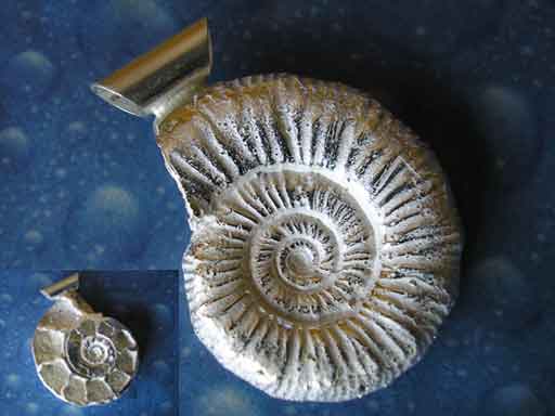 Ammonit Schmuck Fossil Anhänger
