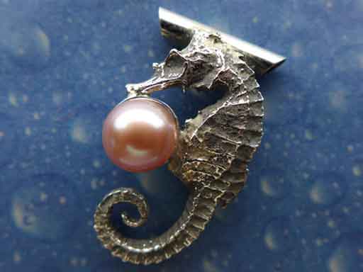 Seepferdchen Kette Silber Schmuck