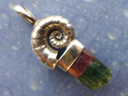 Maritimer Schmuck Posthorn Turmalin bicolor