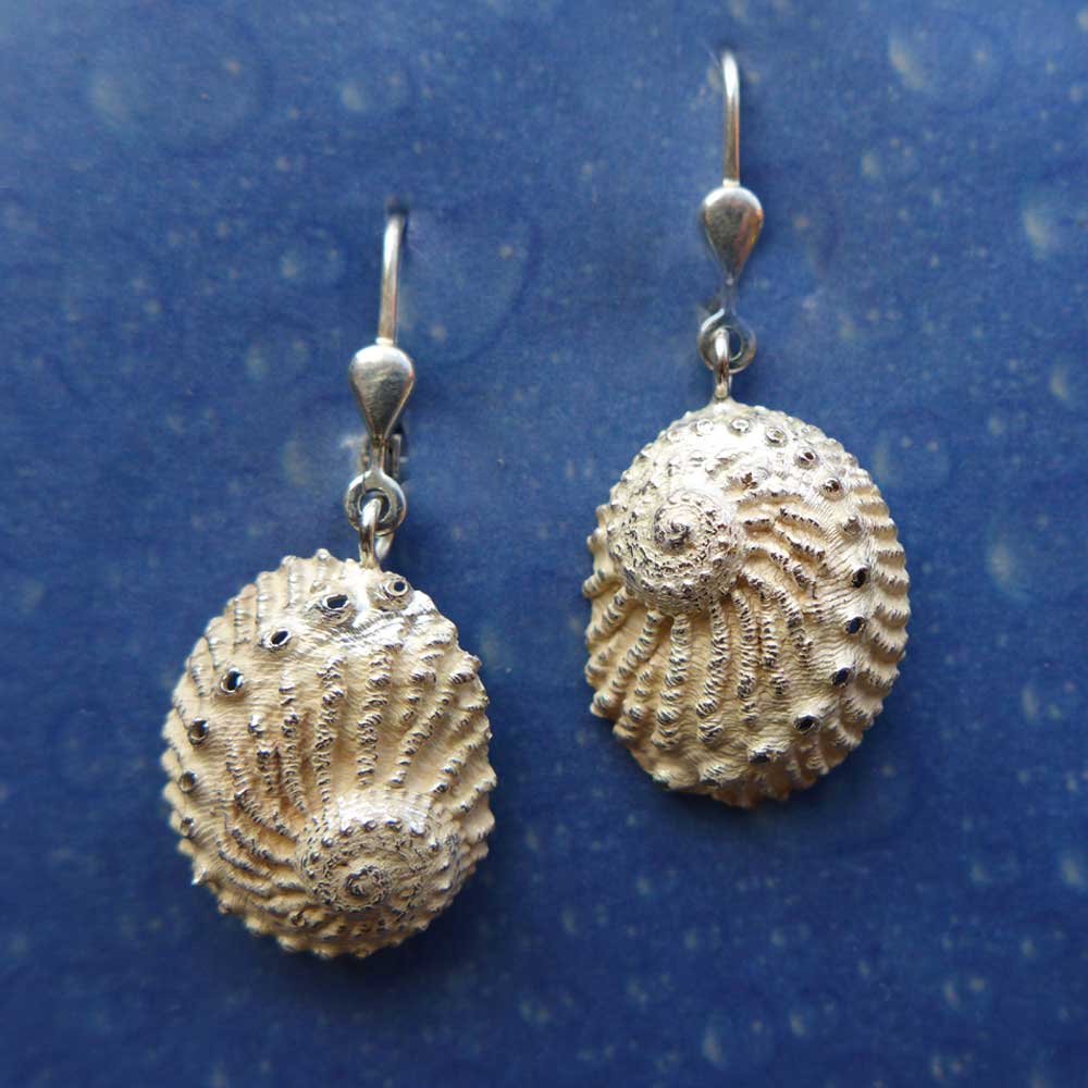 Abalone Ohrringe Schmuck online