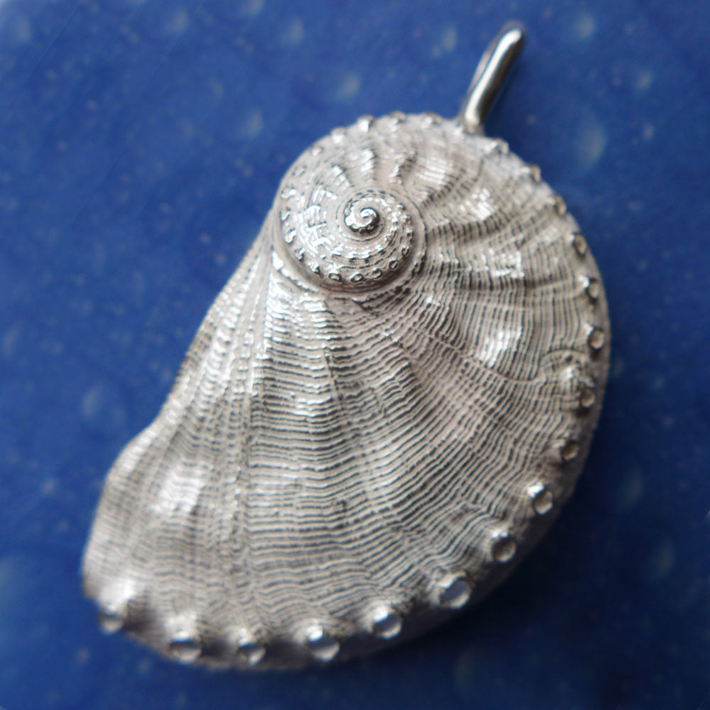 Abalone Pauashell Anhänger Schmuck