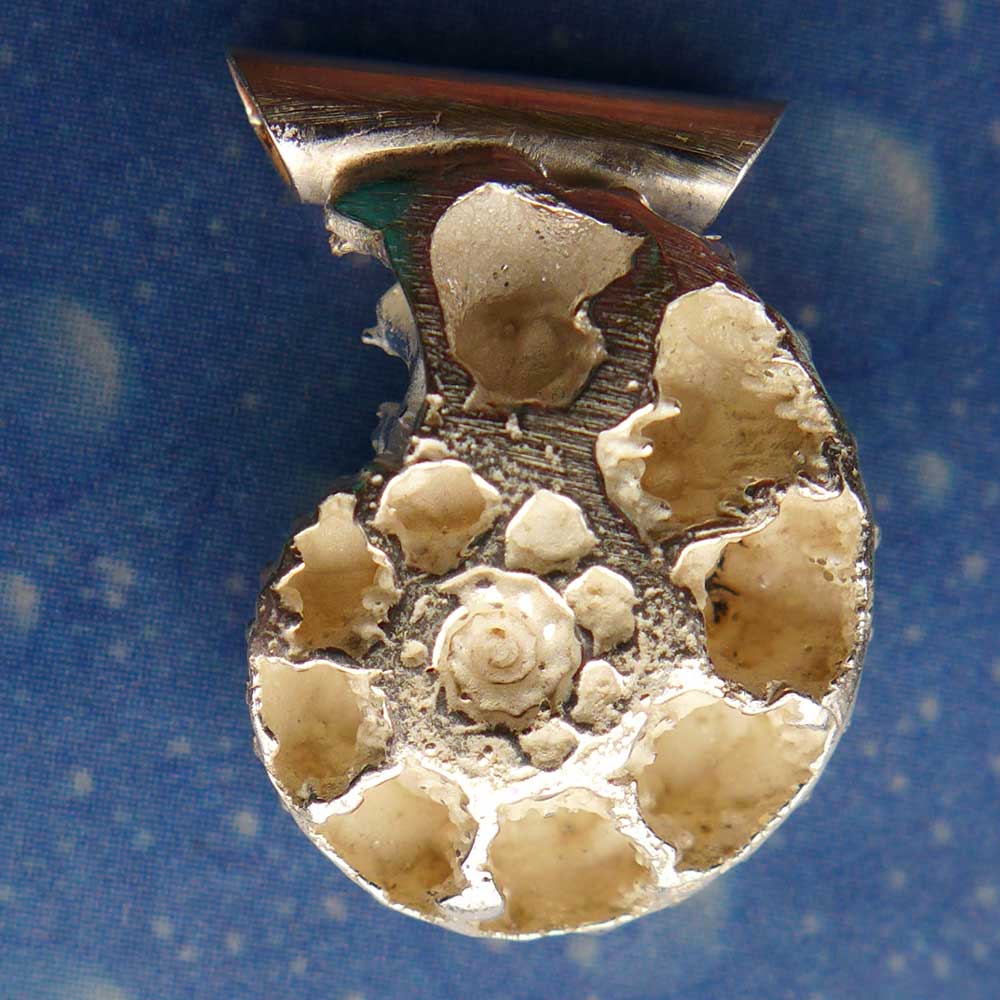 Ammonit beidseitig Anhänger Versteinerung