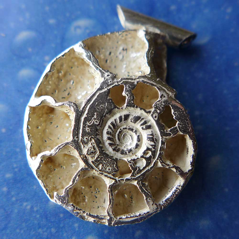 Ammonit Schmuck Fossil Anhänger
