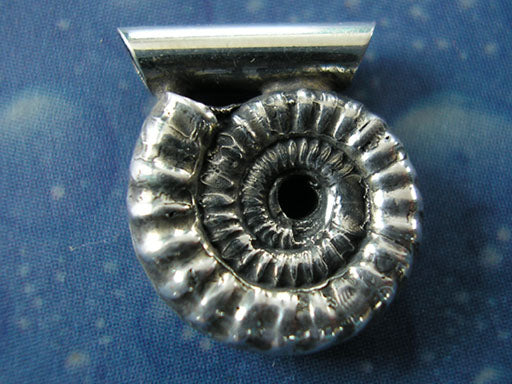 Versteinerung Schmuck Ammonit Anhänger geschwärzt