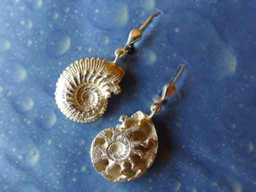 Versteinerter Ammonit Ohrringe Silber Fossil