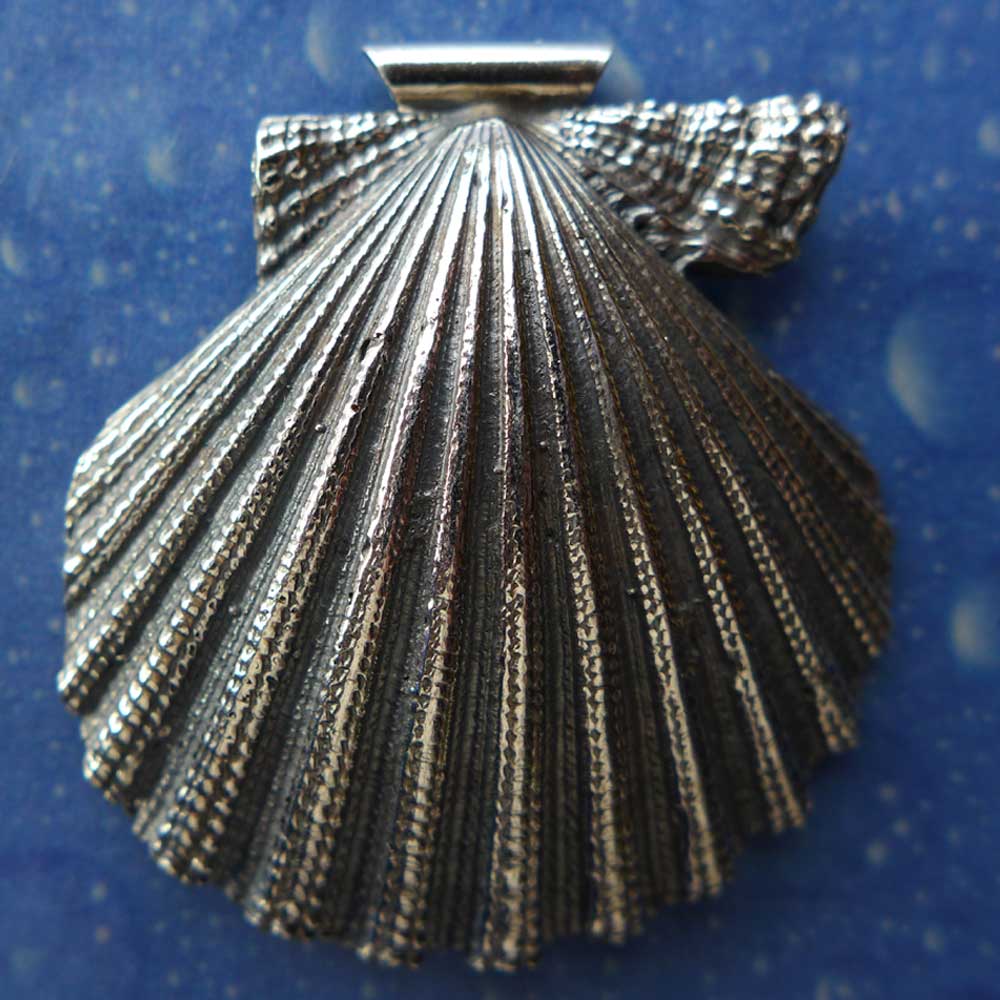 Anhänger Muschel Schmuck Kette