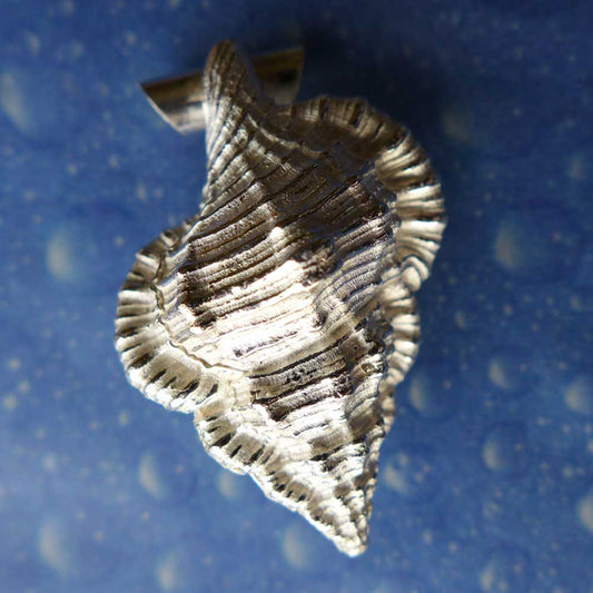 Anhänger Schnecke Schmuck Tritonshorn