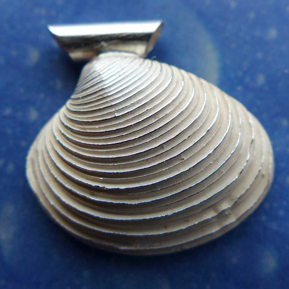 Muschel Anhänger Silber Venusmuschel