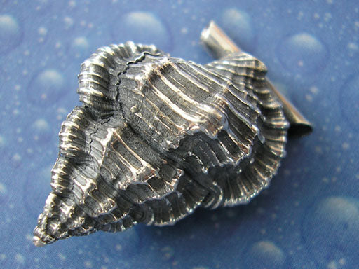 Anhänger Schnecke Schmuck Tritonshorn