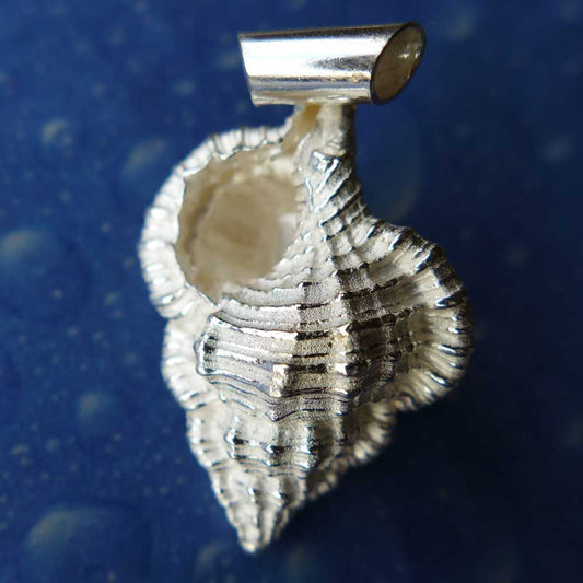 Anhänger Schnecke Schmuck Tritonshorn Rückseite