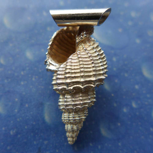 Maritimer Schmuck Anhänger Dornen Schnecke Rückseite