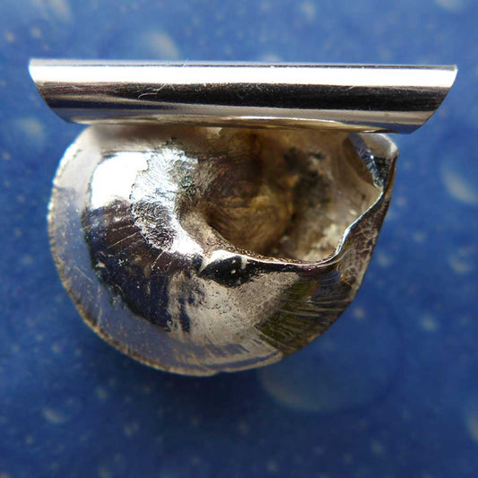 Unterwasser Schmuck Anhänger Knopfschnecke  Rückseite