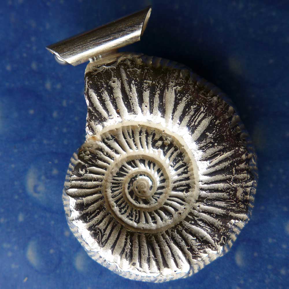 Ammonit Schmuck Fossil Anhänger Rückseite