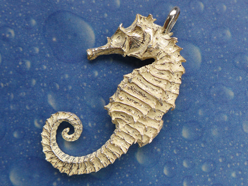 Seepferdchen Anhänger Schmuck