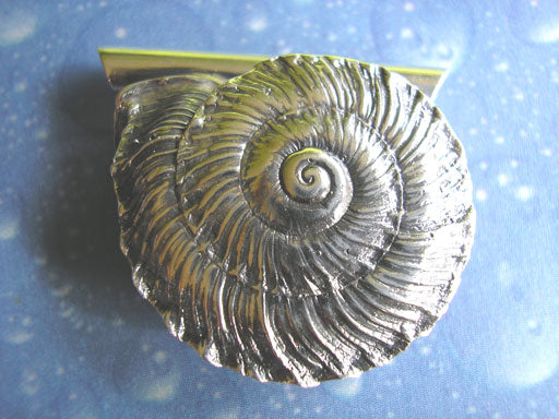 Unterwasser Schnecke Silber Sonnenrad