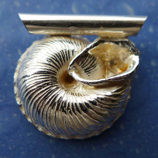 Unterwasser Schnecke Silber Sonnenrad Rückseite