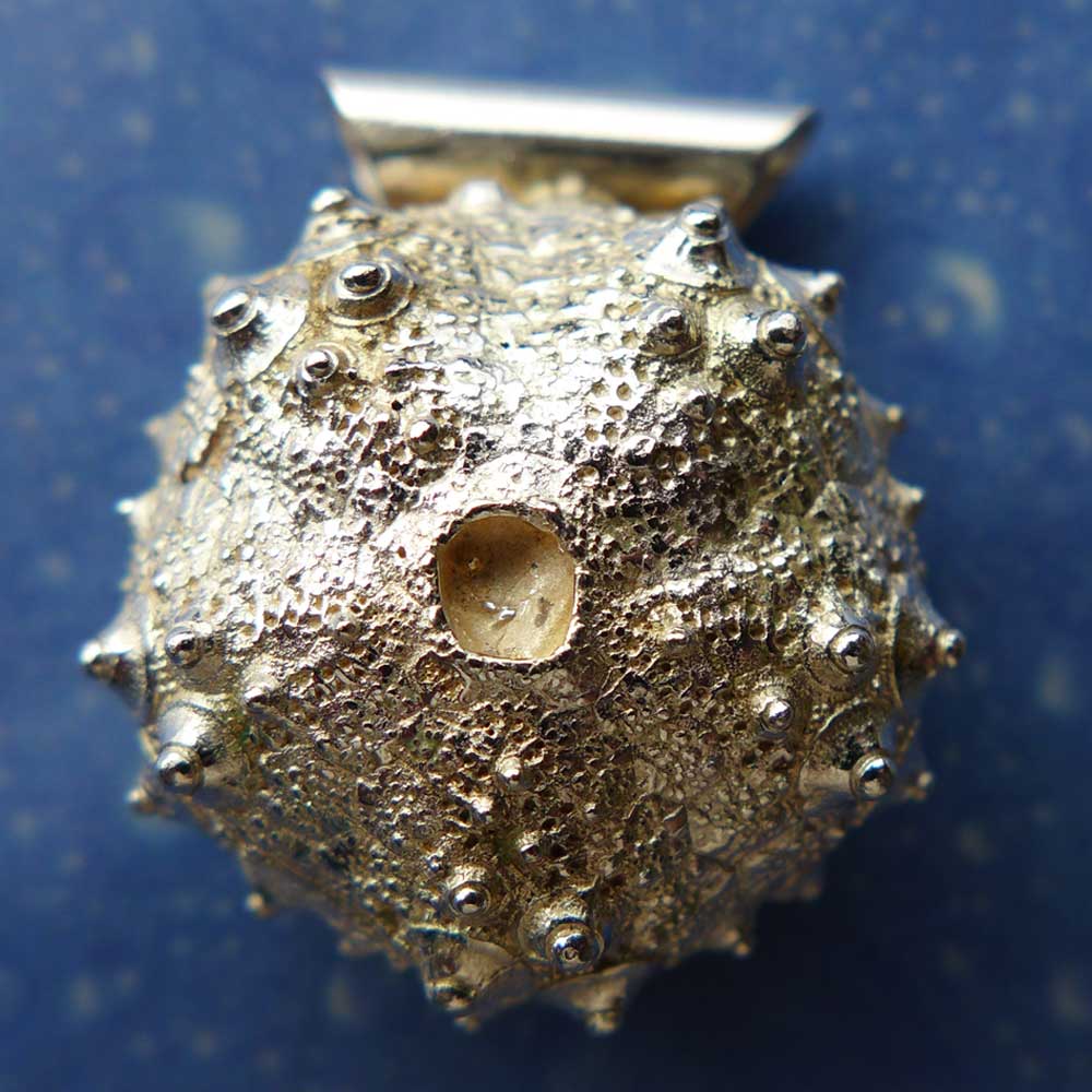 Seeigel Schmuck von der Küste Silber