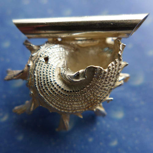 Stachelige Delfin Schnecke Anhänger