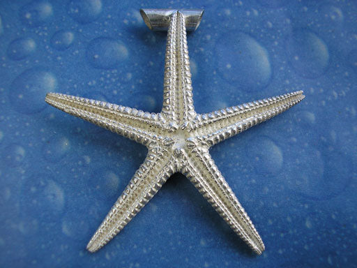 Seestern Schmuck Anhänger Silber