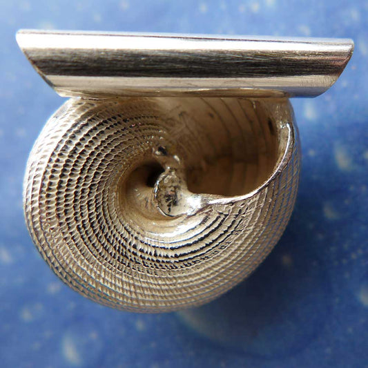 Feingestreifte Monodonta Anhänger