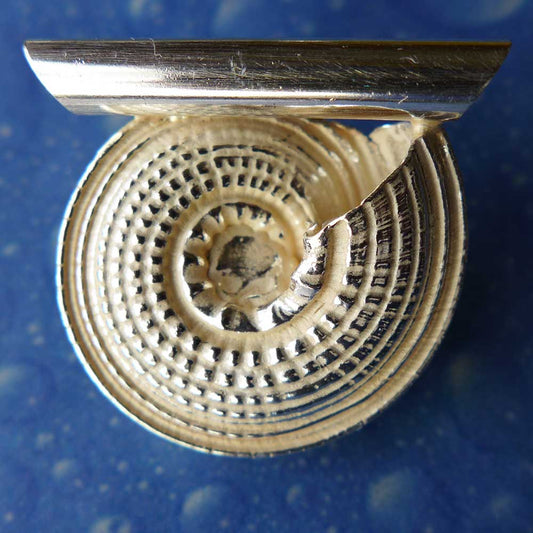 Philippinische Sonnenuhr Schnecke Anhänger