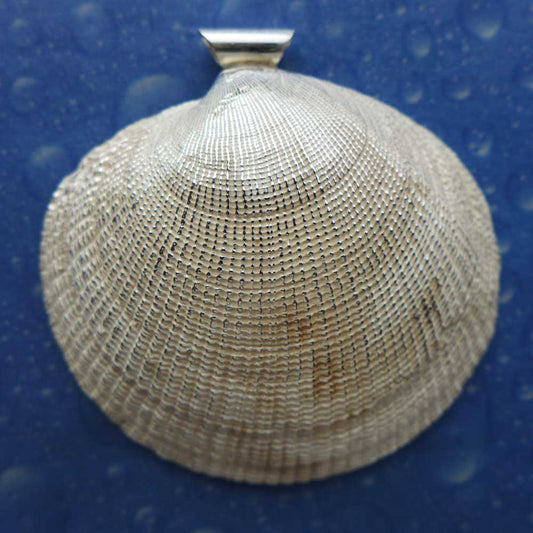 Punktmond Muschel Anhänger