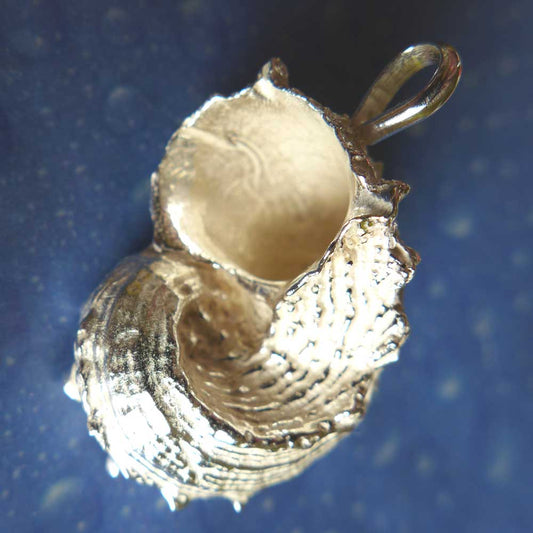 Schmuck Anhänger Delfin Schnecke Rückseite