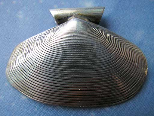 Strahlige Tell Muschel Anhänger aus Silber