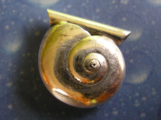 Taucherschmuck Anhänger Schnecke Sonnenknopf