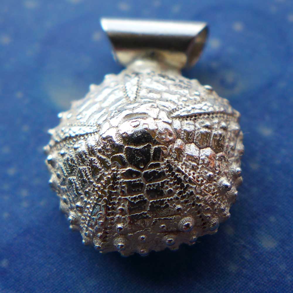 Kettenanhänger Seeigel Silber Design