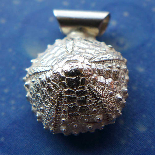 Kettenanhänger Seeigel Silber Design