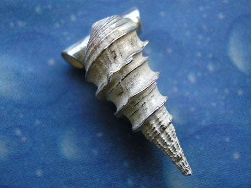 See Schmuck Silber Anhänger Thiaridae