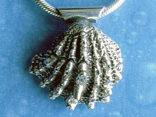 Schuppige Fächer Muschel medium Anhänger