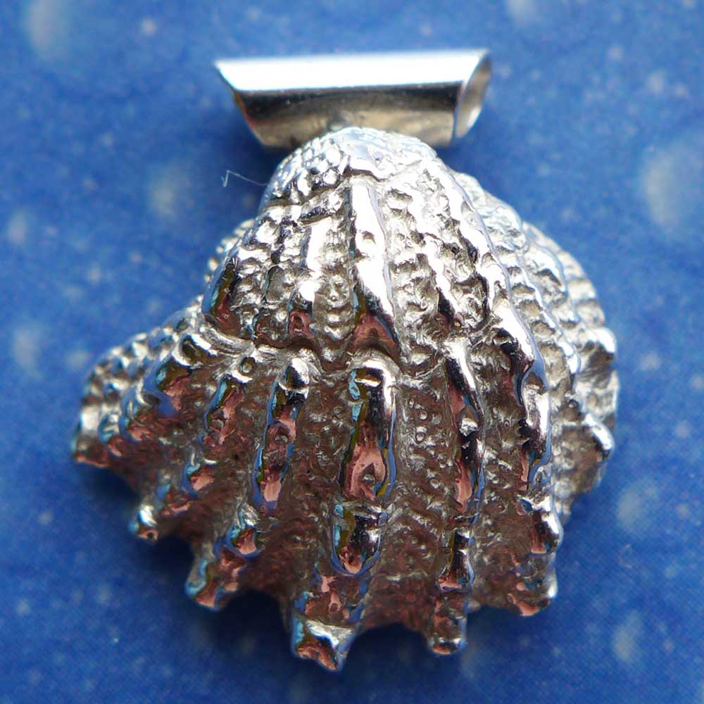 Schuppige Fächer Muschel medium Anhänger