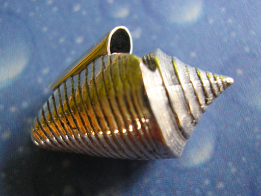 Maritimer Schmuck Kegelschnecke Anhänger