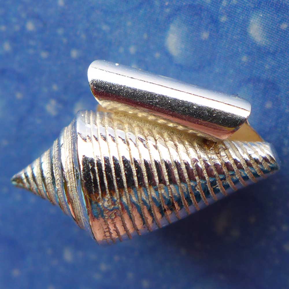Maritimer Schmuck Kegelschnecke Anhänger Rückseite