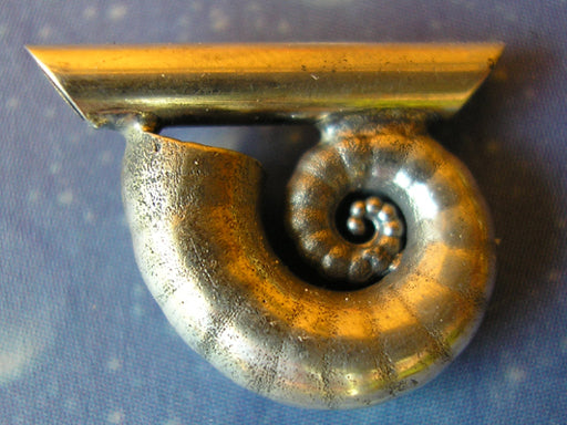 Kopffüßer Posthorn Schnecke Anhänger