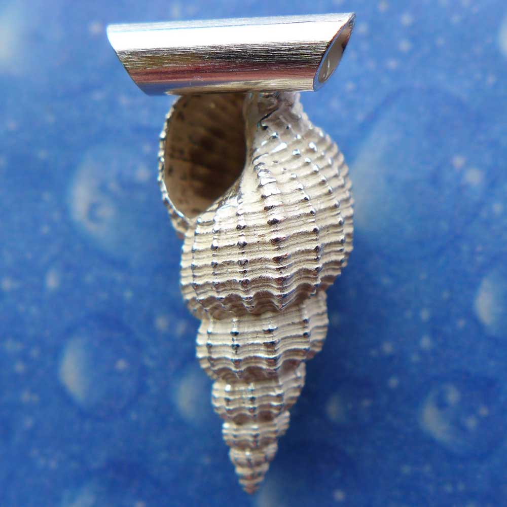 Meerschmuck Anhänger Dornen Schnecke Rückseite