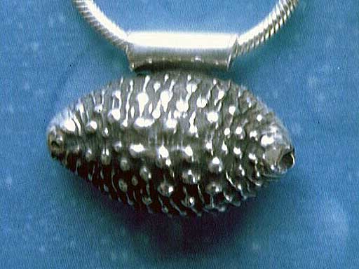 Silber Schnecke Anhänger Kauri geschwärzt