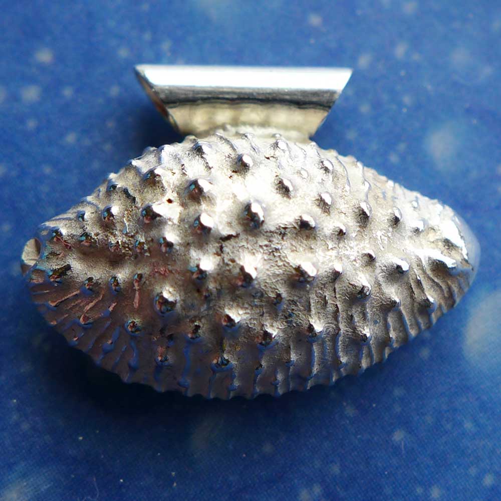Kauri Muschel Silber Schnecke Anhänger