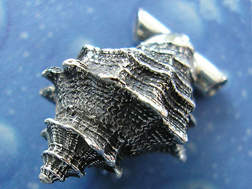 Schnecken Anhänger Silber Felsschnecke