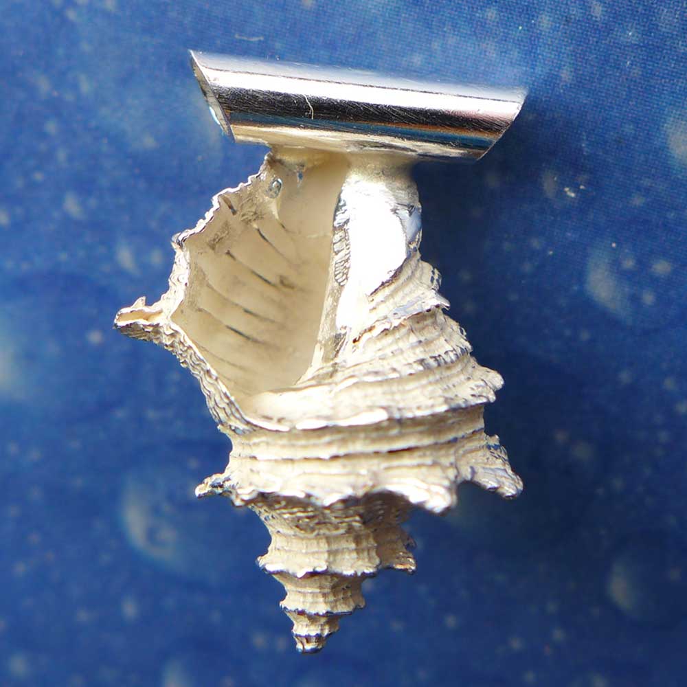 Schnecken Anhänger Silber Felsschnecke
