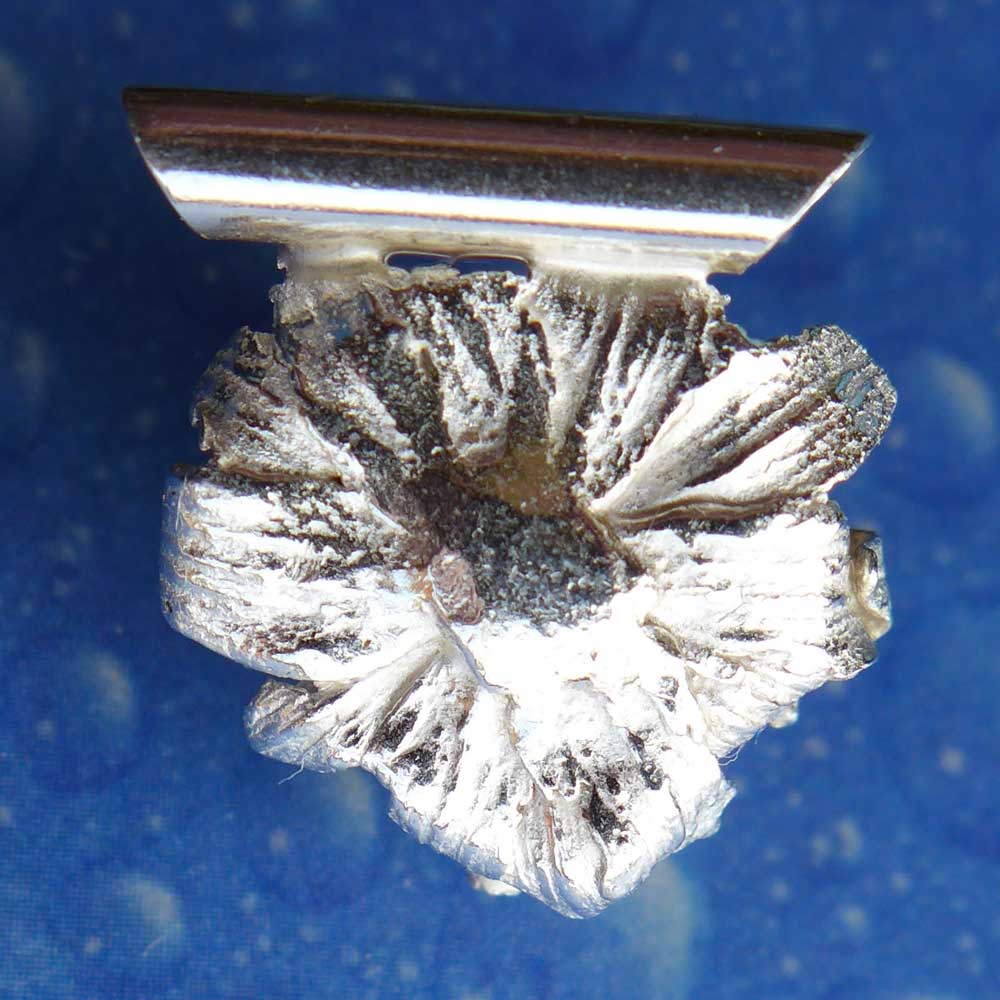 Skabiose Blüte Silber Teufelsabbiss Anhänger Rückseite