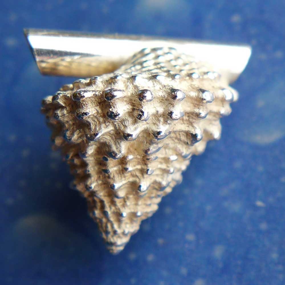 Gekrönte Strand Schnecke small Anhänger