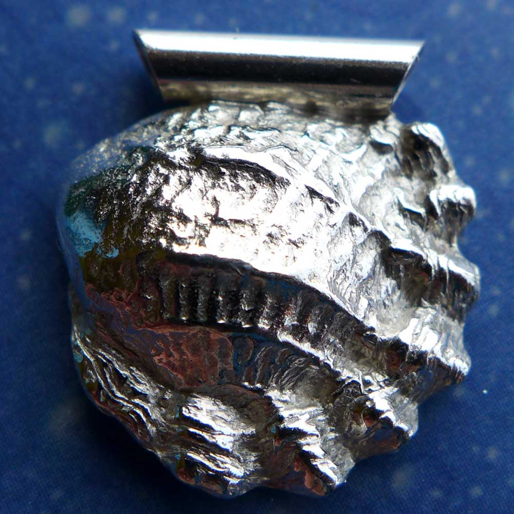 Gewellte Muschel Anhänger