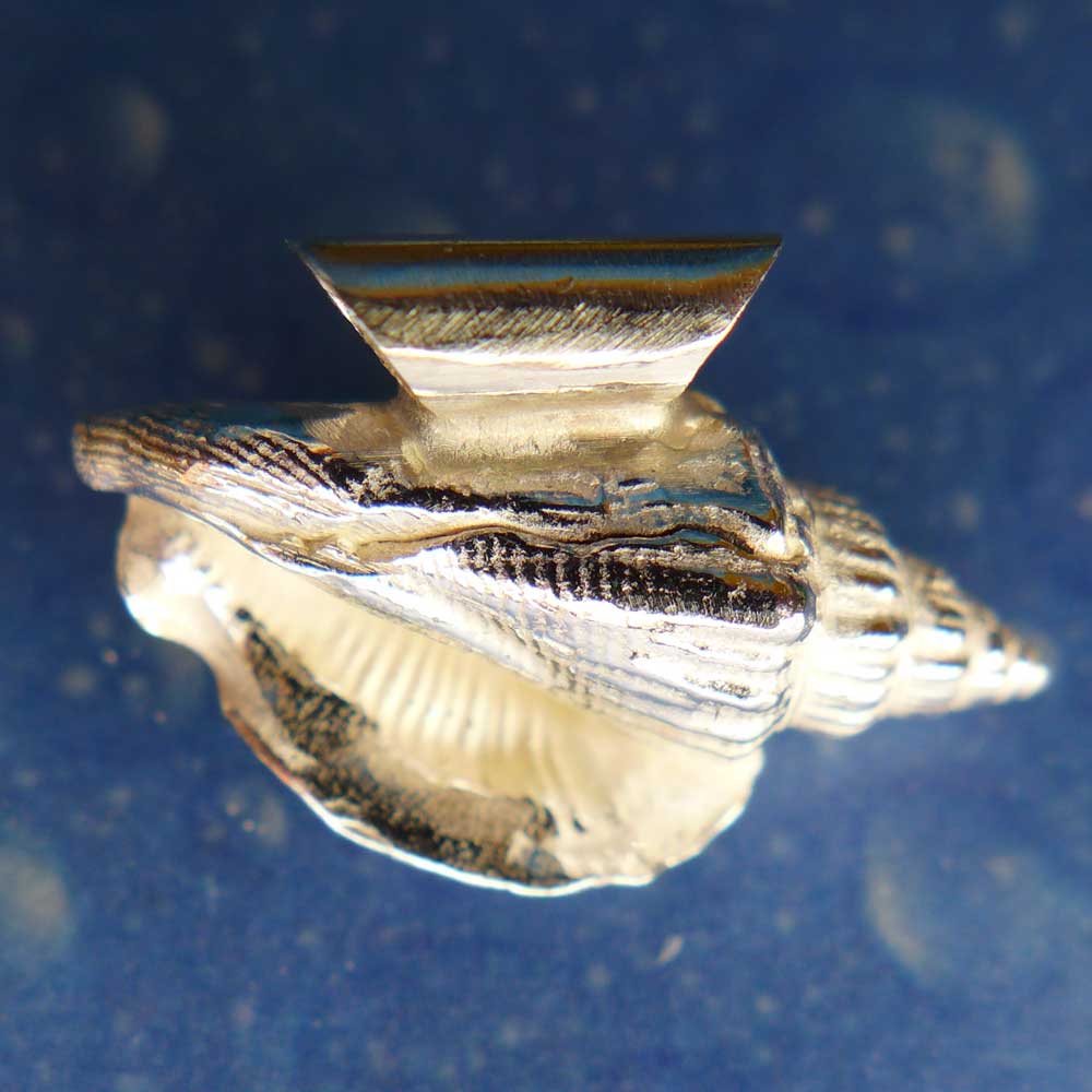 Meerschmuck Anhänger Schnecke Kleiner Bär Rückseite