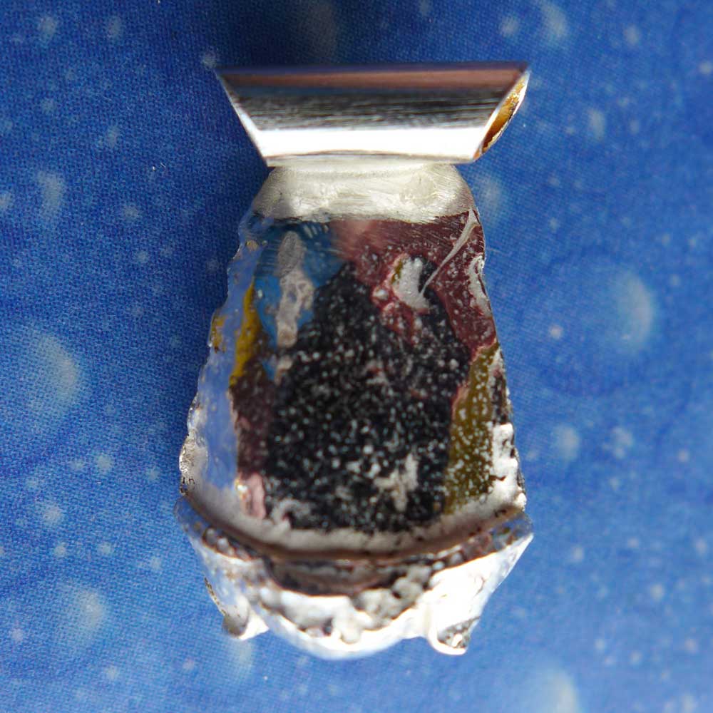 Trilobit Schmuck Anhänger Silber Rückseite