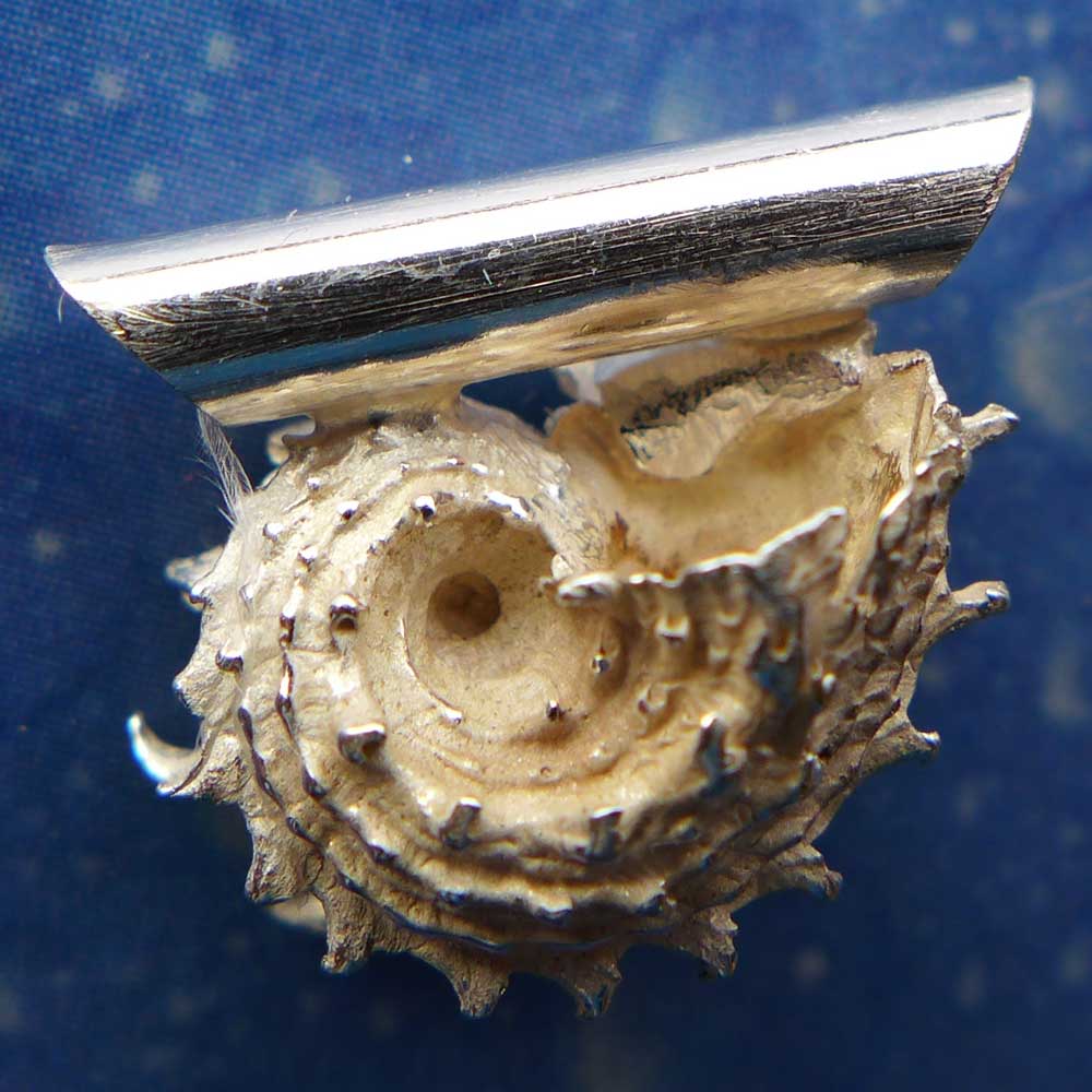 Meerschmuck Anhänger Silber Delfinchen Rückseite