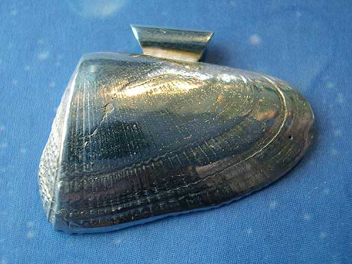 Sägezahn Muschel Anhänger