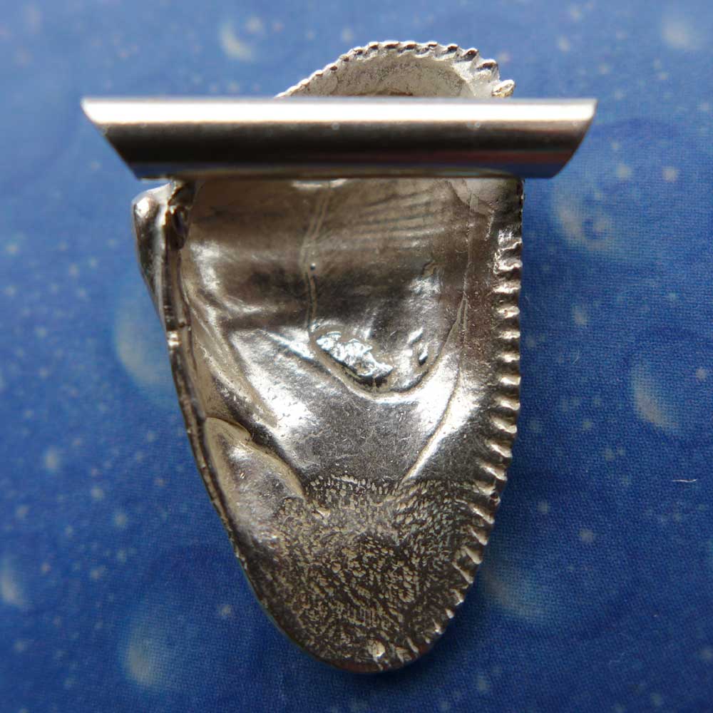 Sägezahn Muschel Anhänger